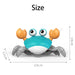 Children's Clockwork Crab and Octopus Bath Toys