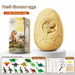 Yimi Children's Dinosaur Egg Dig Kit – DIY Fossil Blind Box (Ages 6–12)