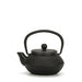 Cast Iron Teapot with Stainless Steel Mesh Filter — Induction Ready