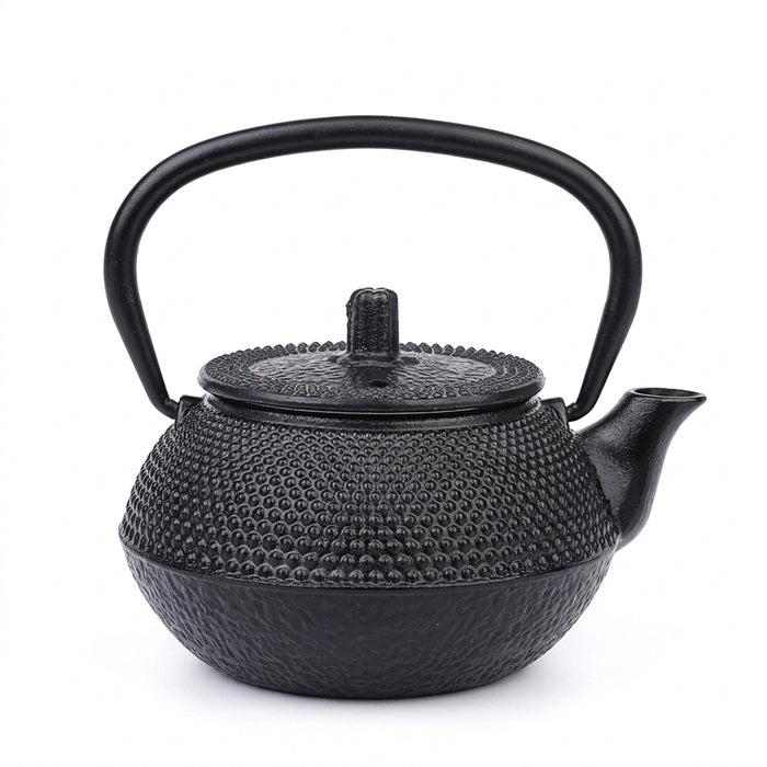Cast Iron Teapot — Japanese-style Kettle 300/600/900/1200ml with 304 Steel Infuser